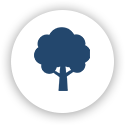 Icon: Baum