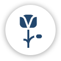 Icon: Blume