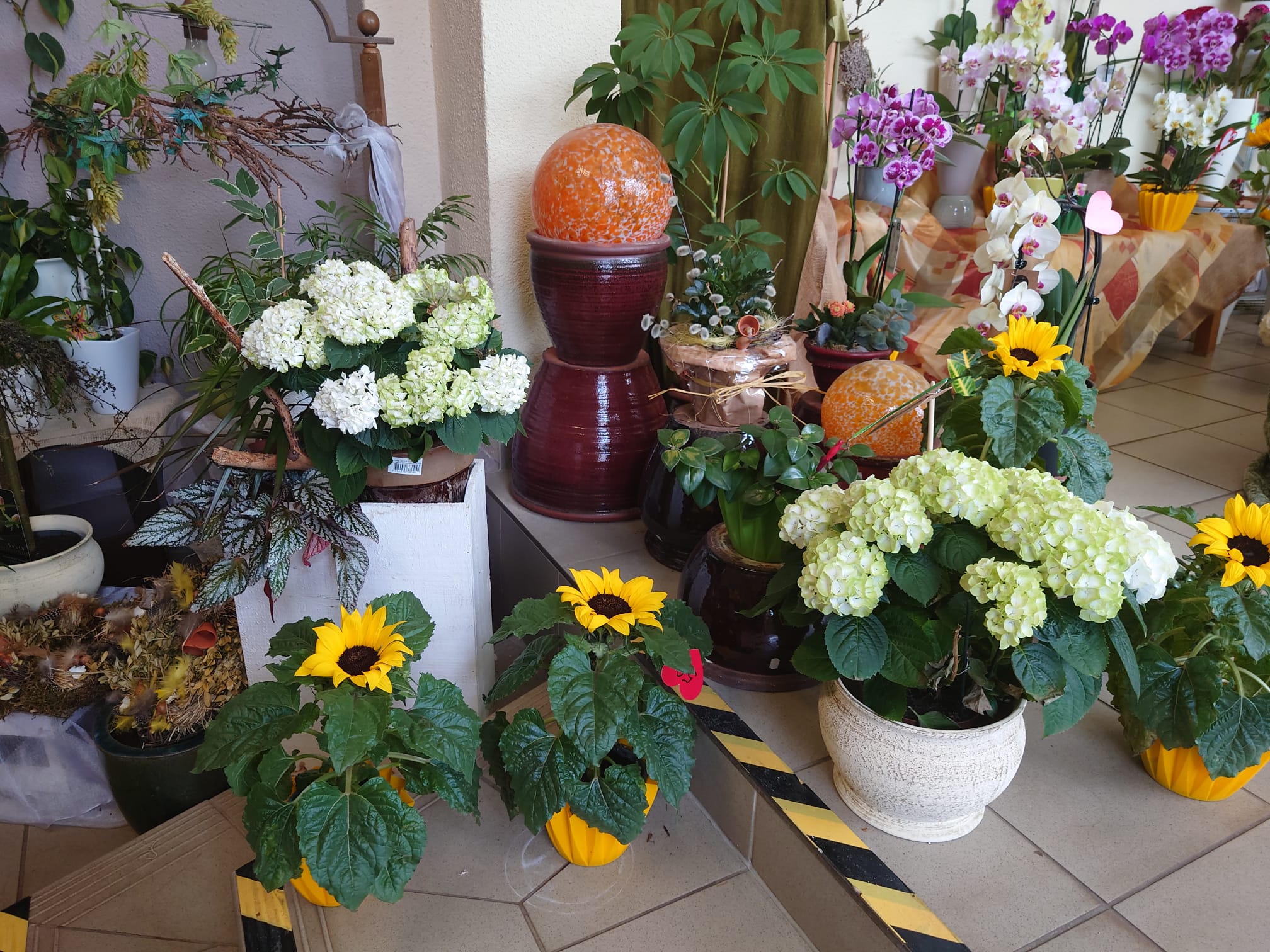 Bestattungsinstitut Wolgast Blumenladen